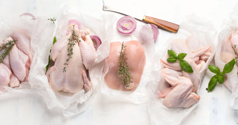 Exportações de carne de frango do Brasil registram crescimento e estabelecem novos recordes em 2024