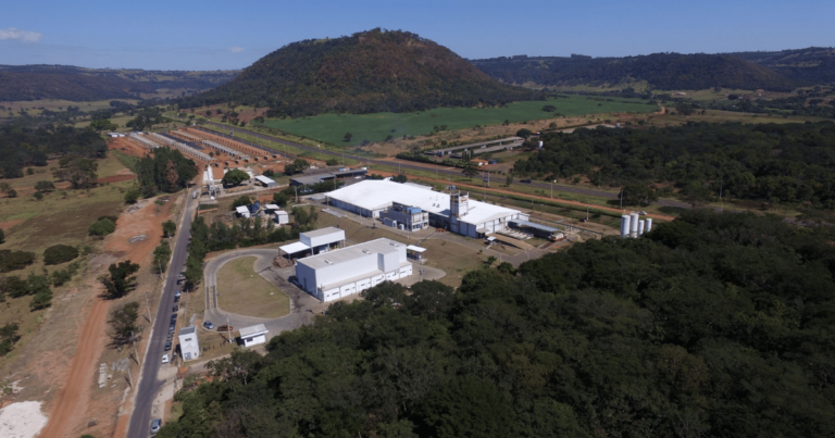 Fider amplia produção de tilápia e projeta faturamento recorde para 2025