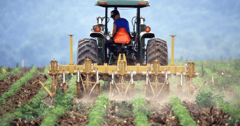 NR31: Segurança no trabalho rural e os benefícios para o produtor