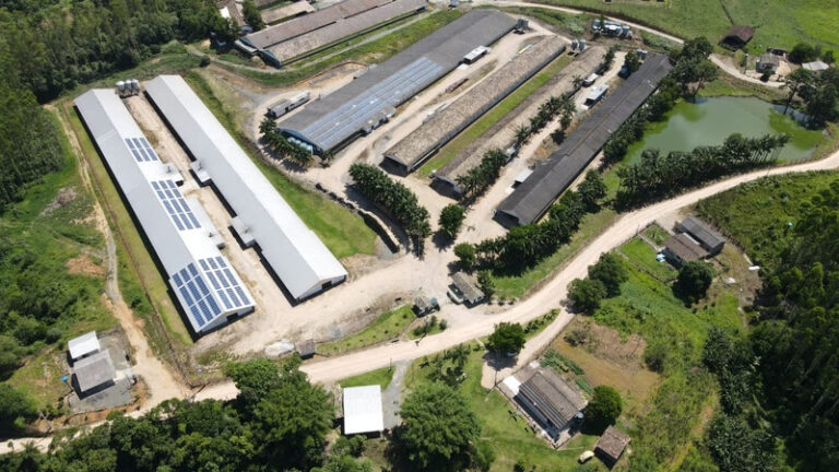 70% dos produtores integrados de frango da Seara já utilizam energia solar