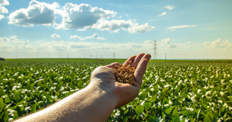 Sistema Campo Limpo do Brasil avança na sustentabilidade e é referência mundial no agronegócio