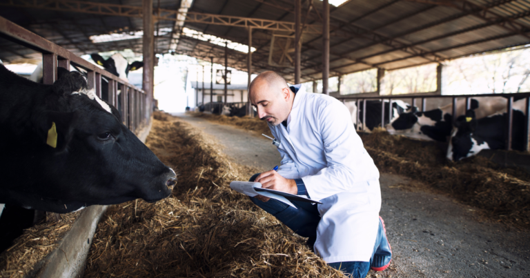 Sindirações divulga cursos para capacitação profissional no setor de alimentação animal em 2025