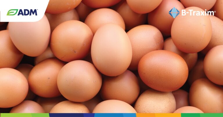 Nutrição mineral inteligente em poedeiras: Como maximizar a produção e aumentar a rentabilidade