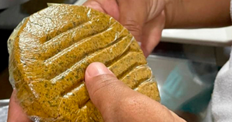 Hambúrguer à base de coco babaçu surge como inovação social e alimentar no Maranhão