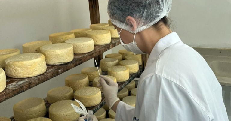 Emater-MG seleciona propriedades para mapear o ‘DNA’ do Queijo do Serro
