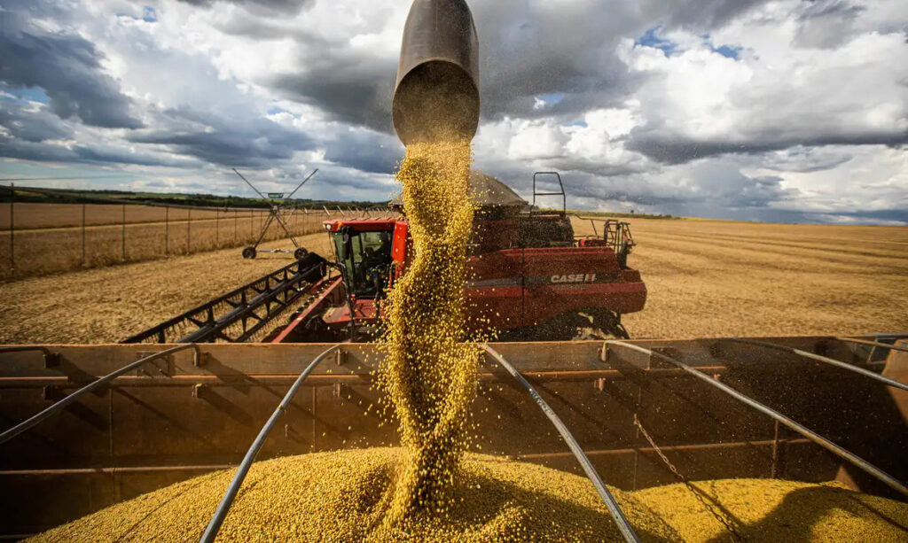 Safra recorde nos EUA pressiona o milho, enquanto cortes do USDA e forte demanda chinesa sustentam a soja.
