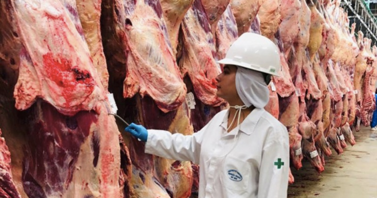 Anffa Sindical se posiciona contra privatização da fiscalização agropecuária