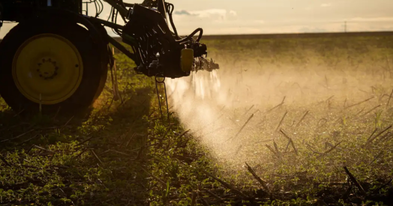 Agronegócio brasileiro gera 28,2 milhões de empregos em 2024