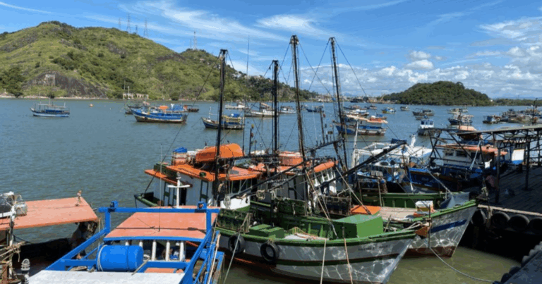 Ministro visita Terminal Publico Pesqueiro de Vitória (ES)