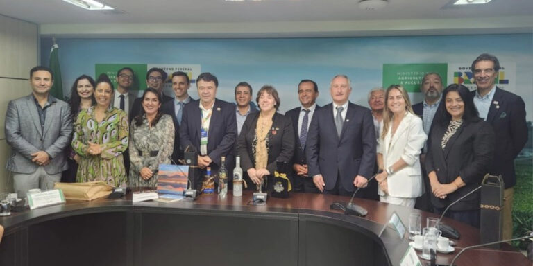 ​Brasil e Chile reforçam parceria comercial durante reunião em Brasília​