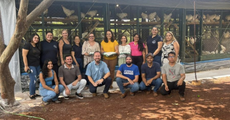 UFGD inaugura aviário Cage Free e avança em pesquisas sobre bem-estar animal