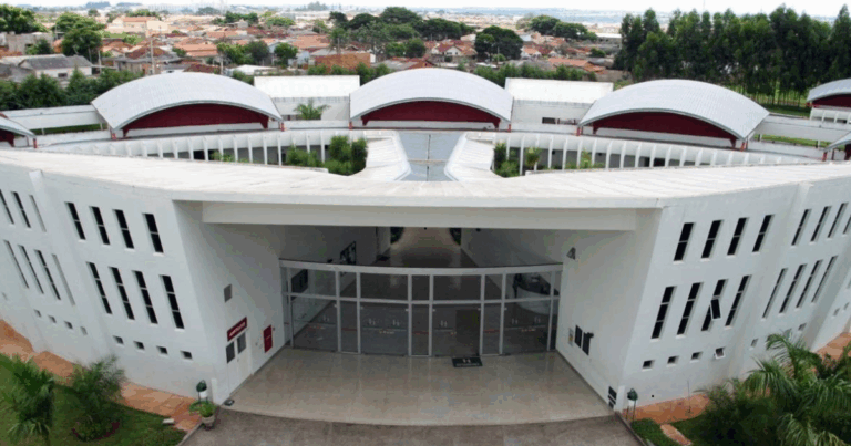 Personagens do campo ganham vida em projeto que leva o agro às salas de aula