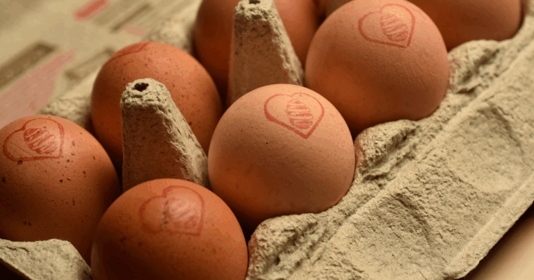 De alimento básico a protagonista: como os ovos conquistaram o consumidor moderno