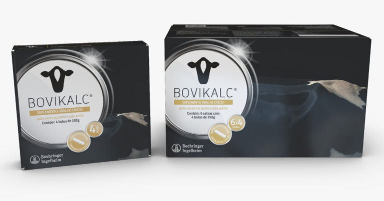 Boehringer lança suplemento para combater hipocalcemia em vacas leiteiras