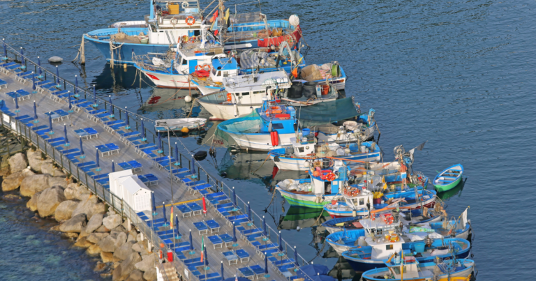 MPA lança curso de capacitação sobre higiene em embarcações pesqueiras