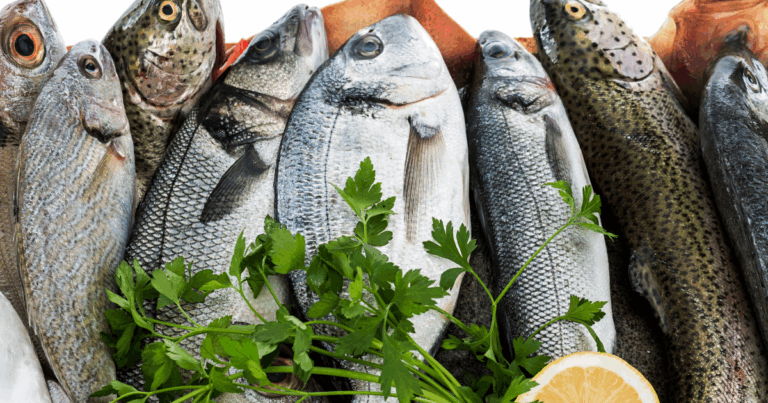 Auditores reforçam orientações para compra de pescados durante a Semana Santa