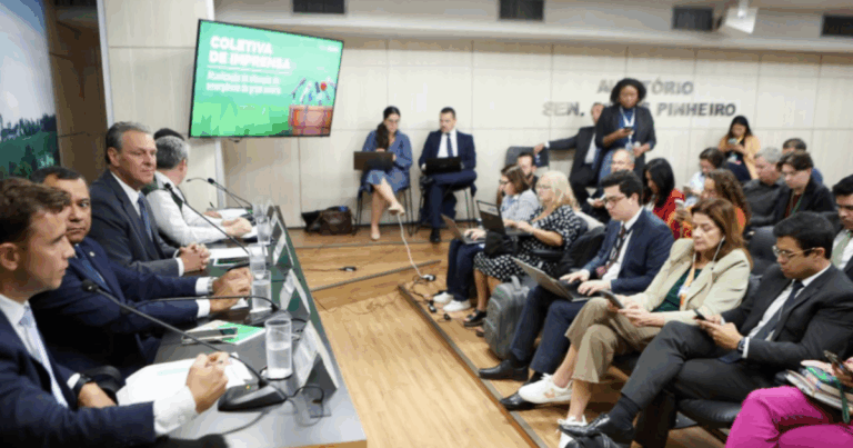 Brasil aposta em transparência e controle regionalizado para manter exportações de aves