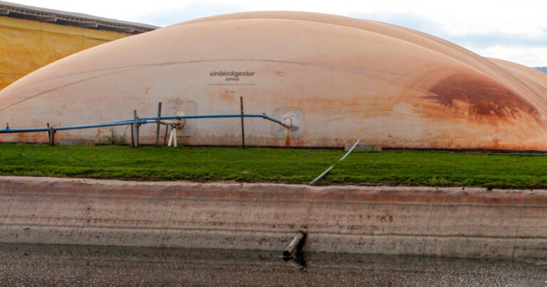 FAEP atualiza suinocultores sobre legislação ambiental e reforça papel técnico das comissões