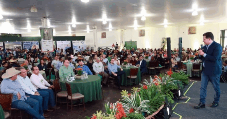 Frente Parlamentar fortalece suinocultura e consolida MS como polo nacional do setor