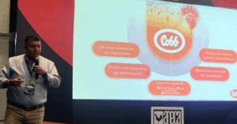 Cobb-Vantress apresenta estratégias para maximizar o desempenho do macho MX na ANECA 2025