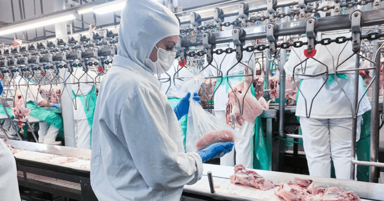 Anffa Sindical pede reforço na biosseguridade após registro de H5N1 no RS