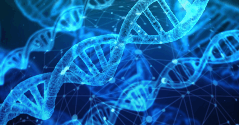 Brasil registra nascimento dos primeiros bezerros geneticamente editados