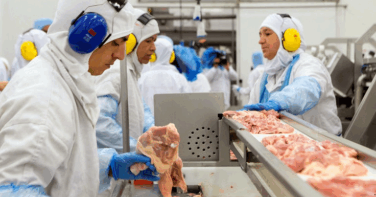 Exportações de carne de frango mantêm estabilidade em abril e acumulam alta de 9,5% no ano