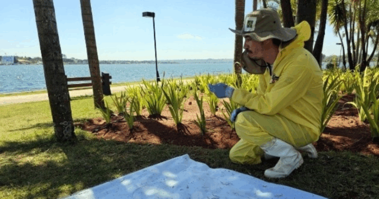 Controle ambiental do carrapato-do-boi revoluciona manejo e eleva produtividade