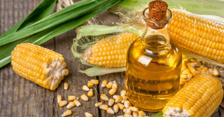 Brasil amplia presença global com exportações recordes de produtos não tradicionais do agro