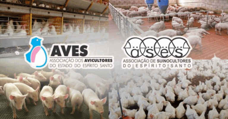 Seminário debate escassez de mão de obra nos setores avícola e suinícola do Espírito Santo