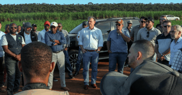 Ministro reforça parcerias entre Brasil e Angola para impulsionar produção agropecuária
