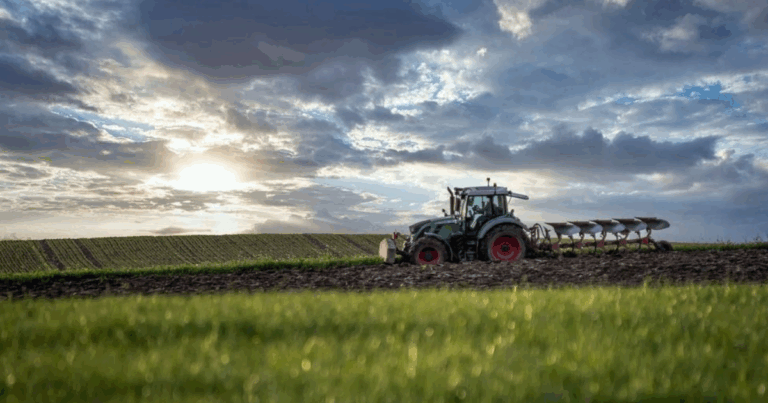 Governo de SP anuncia R$ 150 milhões em crédito para fortalecer o agro paulista
