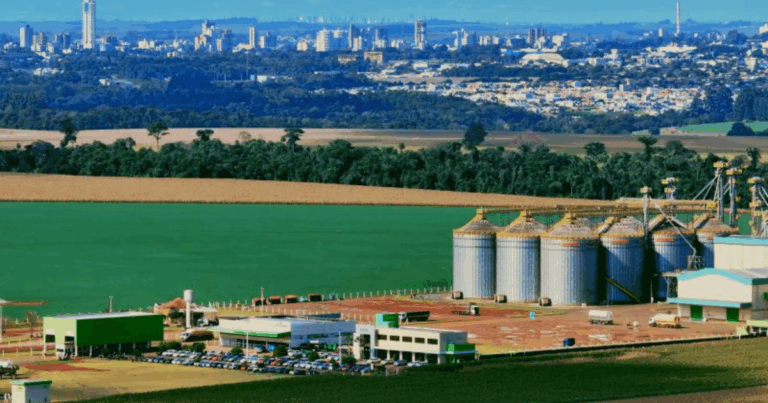 Primato projeta R$ 6 bilhões em faturamento até 2033 com foco no cooperado e energia limpa