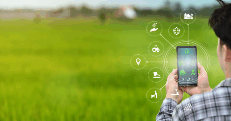 Inteligência artificial no campo impulsiona ganhos no agronegócio