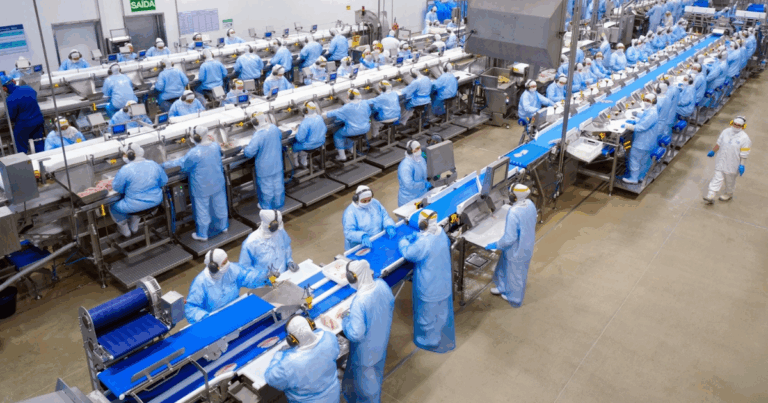 C.Vale acelera produção de tilápias e mira novos mercados internacionais