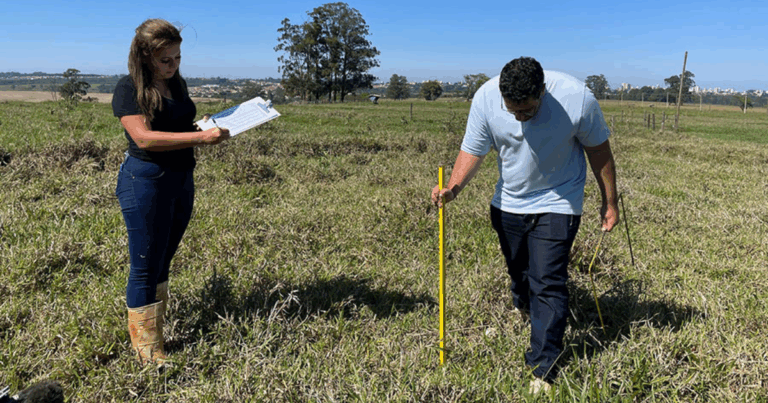 Estudo mostra como aumentar a produtividade da pecuária sem desmatar