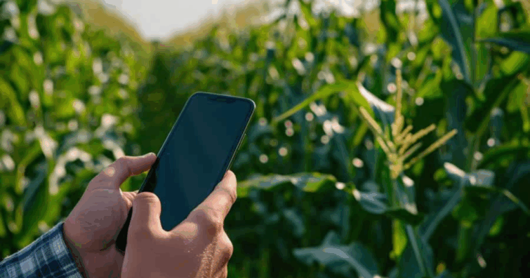 Produtores rurais ganham agilidade e transparência em negócios com agroindústrias