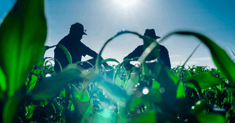Logística reversa no campo supera metas e amplia impacto ambiental