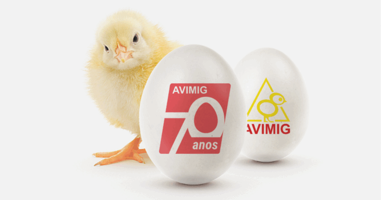 Avimig 70 anos: o elo que impulsiona a avicultura mineira rumo ao futuro
