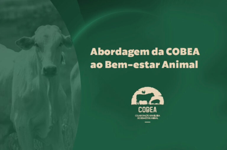 Coalizão brasileira lança manifesto por avanços no bem-estar animal