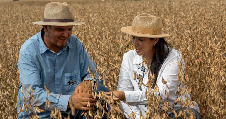 Unilever Alimentos e CJ Selecta anunciam programa para transição da soja convencional no Cerrado