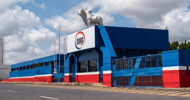 BMG Foods lança cortes suínos temperados e aposta em sabor, conveniência e qualidade premium