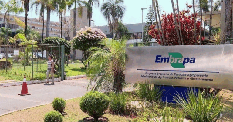 Pesquisa internacional destaca excelência da Embrapa em oito áreas do conhecimento