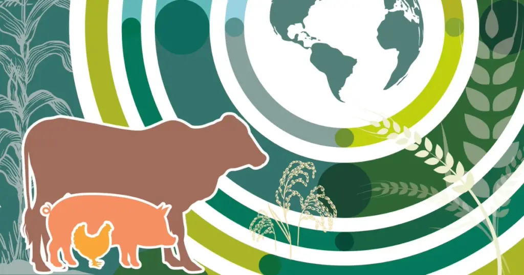 alimentos de origem animal