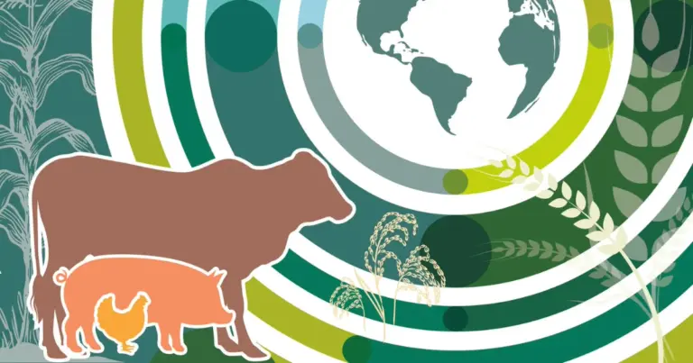 alimentos de origem animal
