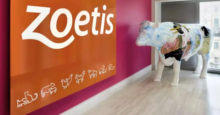Zoetis fortalece frente de Reprodução de Ruminantes com a chegada de Verônica Lopes Schvartzaid como Gerente de Produto