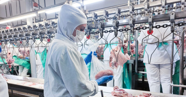 Dia da Avicultura alerta para os riscos da privatização da inspeção de alimentos