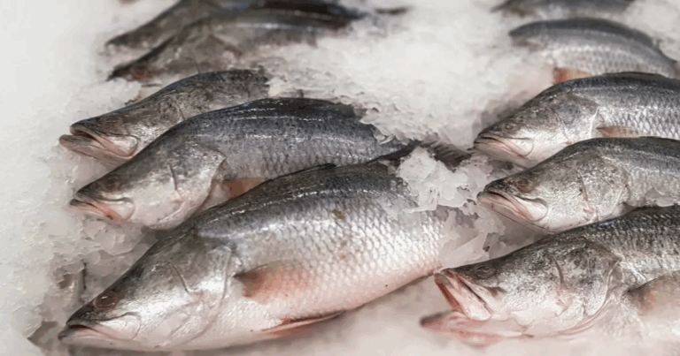 Durante a Aqua Nor 2025, ministro André de Paula destacou comércio, sustentabilidade e políticas públicas para o setor aquícola. Além do combate contra a pesca ilegal.