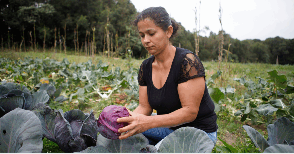 O BNDES lançou a iniciativa Bioinsumos, com R\$ 60 milhões para cooperativas da agricultura familiar investirem em produção e multiplicação de bioprodutos. O programa fortalece a autonomia no acesso a bioinsumos e impulsiona a oferta de alimentos em bases sustentáveis.