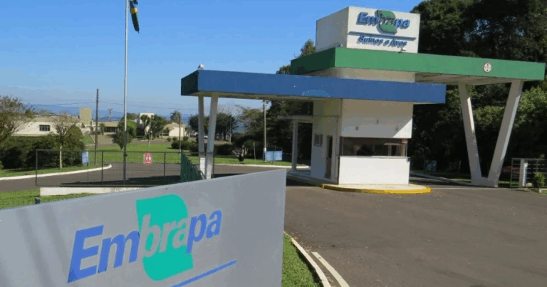 Embrapa homologa concurso público e inicia convocação de aprovados